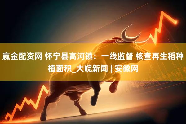 赢金配资网 怀宁县高河镇：一线监督 核查再生稻种植面积_大皖新闻 | 安徽网