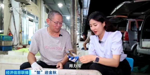 中证50策略 月入2万元！这个岗位太缺人，网友：我现在速成